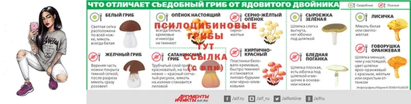 винт Богданович